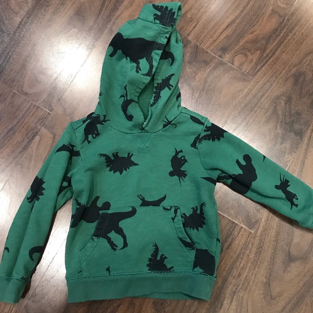 Carters Dinosaur hooded sweatshirt